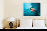 Gallery Wrapped Canvas, Jellyfish At British Columbia