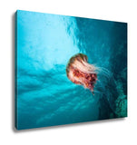 Gallery Wrapped Canvas, Jellyfish At British Columbia