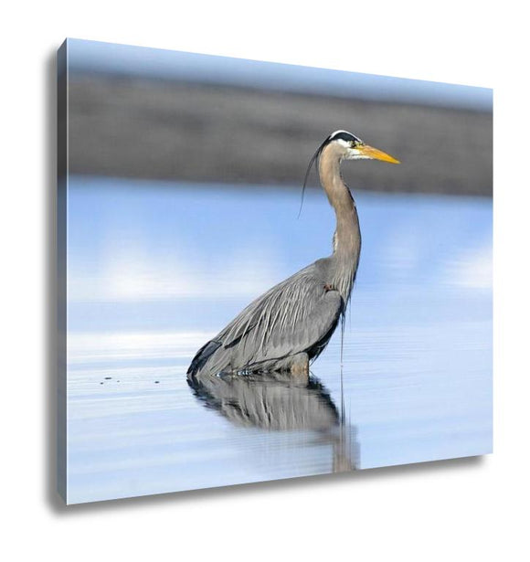 Gallery Wrapped Canvas, Great Blue Heron Ardea Herodias