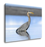 Gallery Wrapped Canvas, Great Blue Heron Ardea Herodias