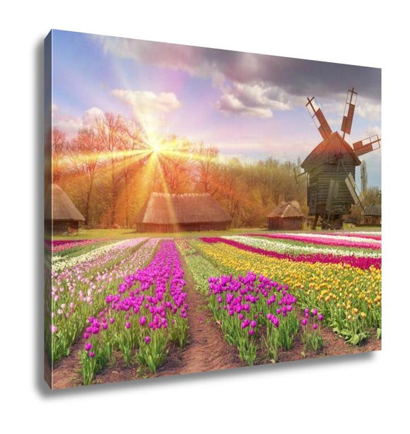 Gallery Wrapped Canvas, Fields Of Tulips In Village