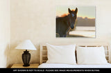 Gallery Wrapped Canvas, New Young Foal On Field At Sunset