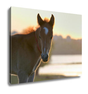 Gallery Wrapped Canvas, New Young Foal On Field At Sunset