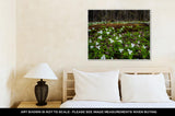 Gallery Wrapped Canvas, Moss Covered Log And Wild White Trillium Fallen Log Surrounded By Wild White