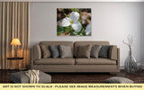 Gallery Wrapped Canvas, Trillium Grandiflorumwhite